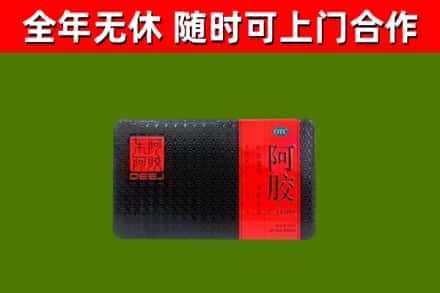 清新区回收阿胶